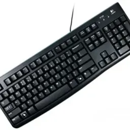 Tastatura Logitech K120 Black, Keyboard for Business, USB, 920-002522