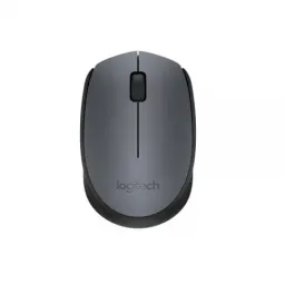 Logitech Wireless M170