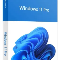 Операционная система Microsoft Windows Pro 11 64Bit Eng Intl 1pk DSP OEI DVD (FQC-10528)