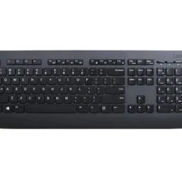 Клавиатура Lenovo Professional 4X30H56866 Wireless RU Black