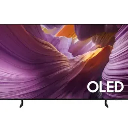 Телевизор Samsung QE65S85FAEXUA Black