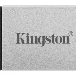 Kingston DataTraveler 80 (DT80/256GB)