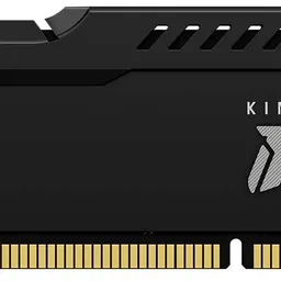 Kingston FURY Beast KF316C10BB/4
