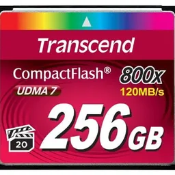 Transcend TS256GCF800 256GB