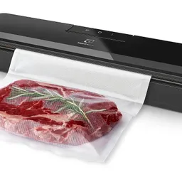 Electrolux E4VS1-4AG