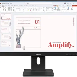 Lenovo ThinkVision E24-40 Black