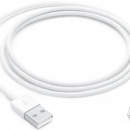 Apple Lightning to USB Cable 1m