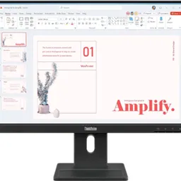 Lenovo ThinkVision E24-40