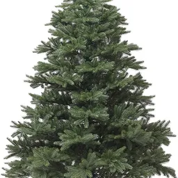 Brad Divi Trees Grand Elite Premium