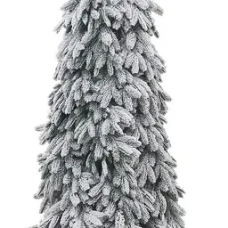 Divi Trees American Small Snow
