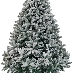 Brad Divi Trees Mont Blanc