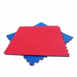 Covoras fitness arena 8724440, rosu, albastru, 100x100x4 cm