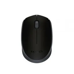 Logitech Wireless Mouse M171