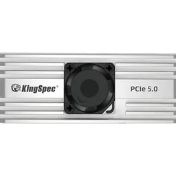 KingSpec VP101