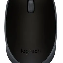 Logitech M171