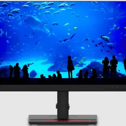 Lenovo ThinkVision T23i-20