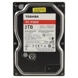 Toshiba Performance P300