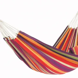 Amazonas Lambada Tropical