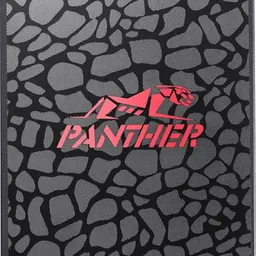 Apacer AS350 Panther