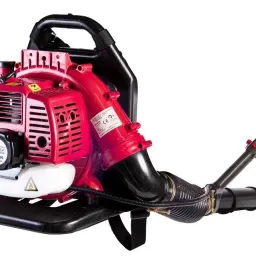 Suflantă de frunze Raider RD-GB06