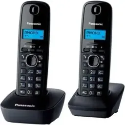 Telefon fără fir Panasonic KX-TG1612UAH, gri