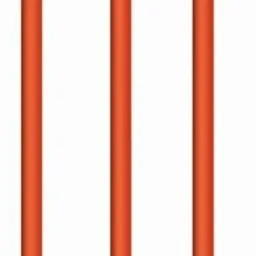 Cablu Cablexpert PP6-1M/RO, roșu