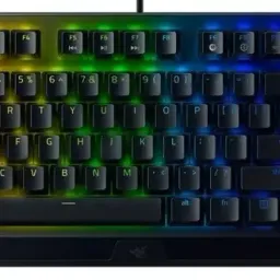 Razer BlackWidow V3 Tenkeyless