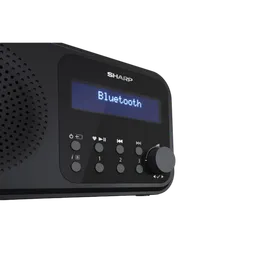 Портативное радио Sharp DR-P420BKV01, Чёрный