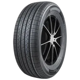 Annaite AN616