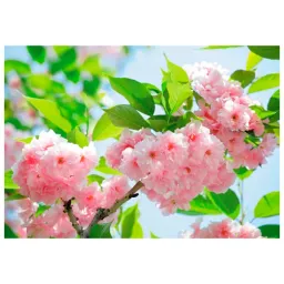 DECOCODE 41-0226-FG