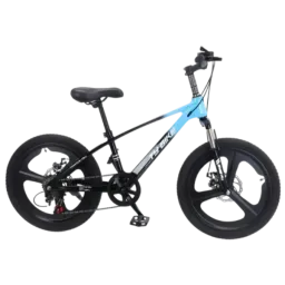 Bicicletă TyBike BK-7