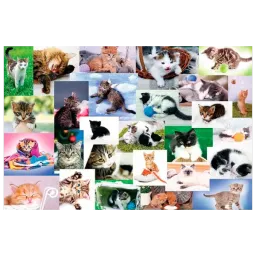Puzzle Trefl Cat's World 4+/ Numărul de piese: 60