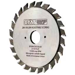 Disc circular CMT 289.100.20H