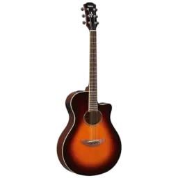 Yamaha APX600