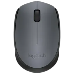 Mouse Logitech M170