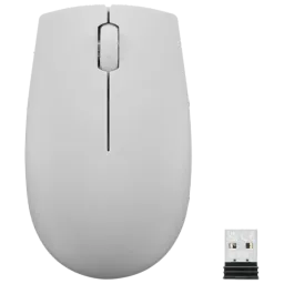 Lenovo 300 Compact
