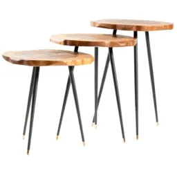 Designino Home TG-Harley Zigon