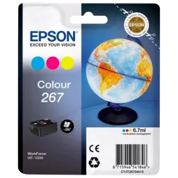 Epson C13T26704010