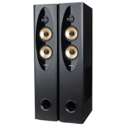 Sistem audio F&D T-60X Pro