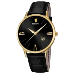 Festina F16825/4