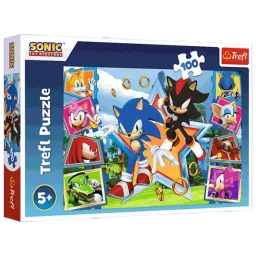 Puzzle Trefl Meet Sonic 5+/ Numărul de piese: 100