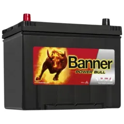 Banner Power Bull P45