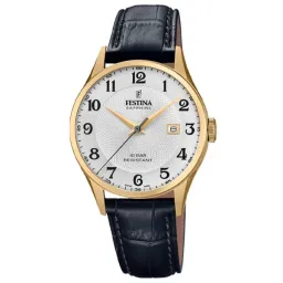 Festina F20010/1
