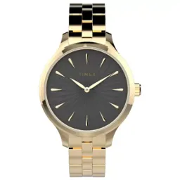 Timex TW2V06200