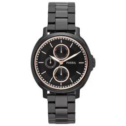 Fossil Chelsey