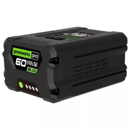 Greenworks G60B6