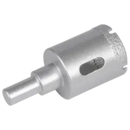 Shijing 10081