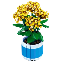 Constructor Richi Tichi Flori