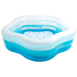 Intex 56495