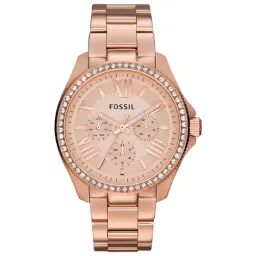 Fossil Cecile